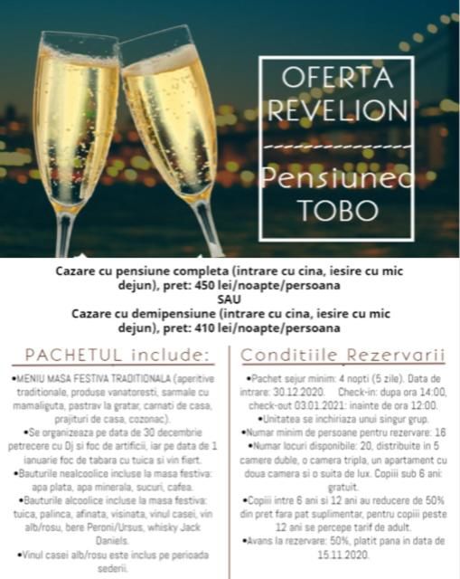 Гостевой дом Pensiunea Tobo Байя-де-Фьер-6